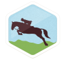 Chadron to Chicago Horse Race Badge