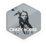 Crazy Horse Badge